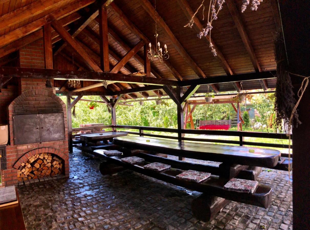 Vila Fan Confort Viseu de Sus Exterior photo