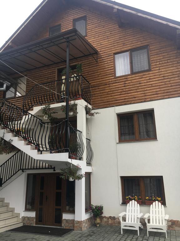Vila Fan Confort Viseu de Sus Exterior photo