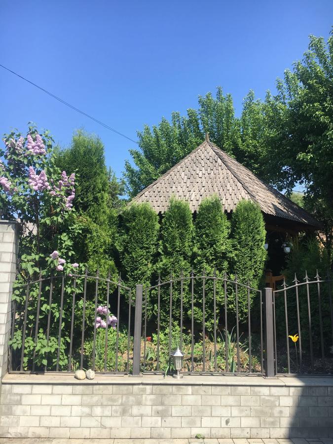 Vila Fan Confort Viseu de Sus Exterior photo